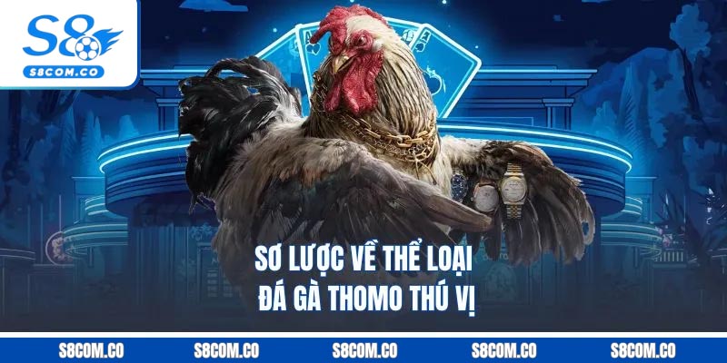 Sơ lược về thể loại đá gà Thomo thú vị