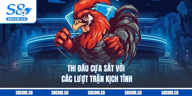 Thi đấu cựa sắt với các lượt trận kịch tính