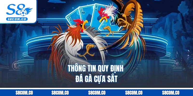Thông tin quy định đá gà cựa sắt